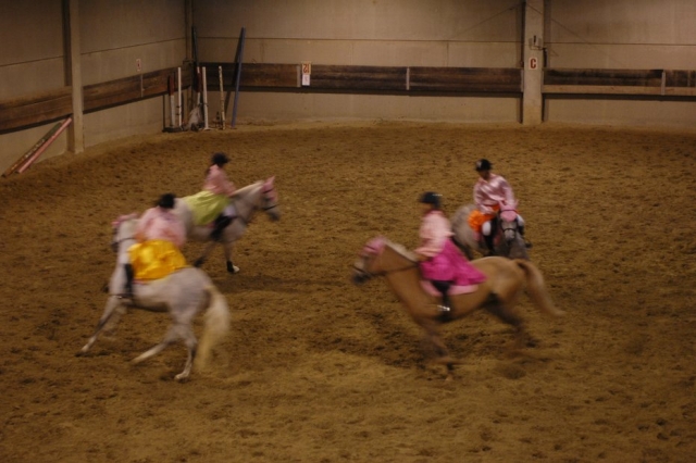 Spettacoli con i pony